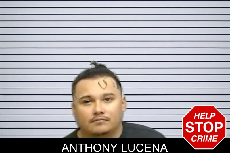 Anthony Lucena mugshot