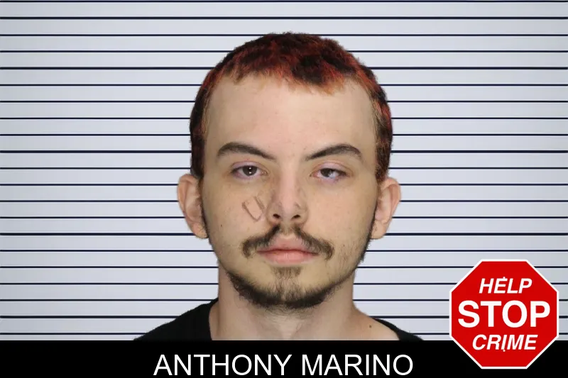 Anthony Marino mugshot – Cobb County , Georgia Anthony Marino mugshot