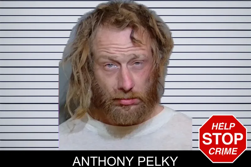 Anthony Pelky mugshot