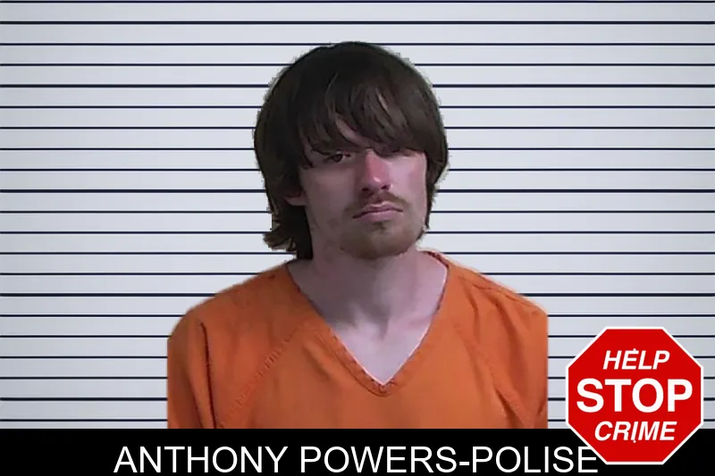 Anthony Powers-Polise mugshot – Fannin County , Georgia Anthony Powers-Polise mugshot