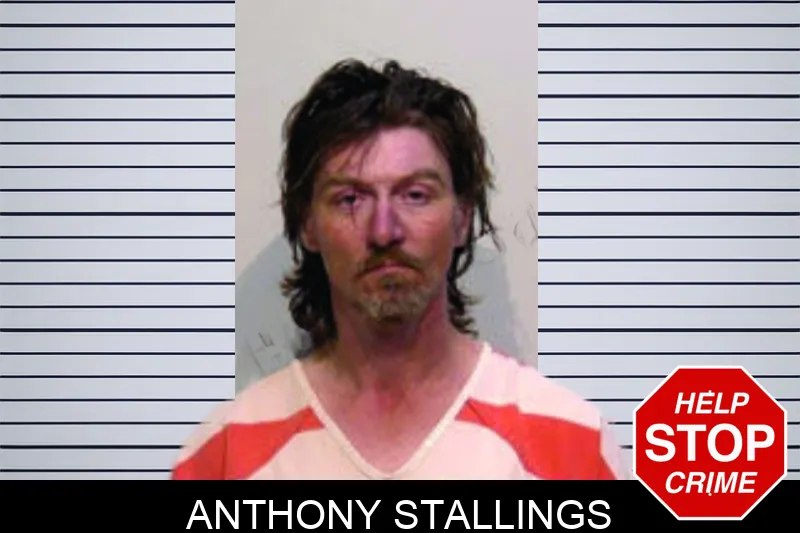 Anthony Stallings mugshot – Bartow County , Georgia Anthony Stallings mugshot