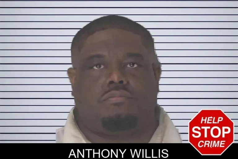 Anthony Willis