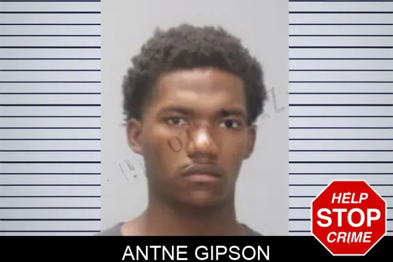 Antne Gipson