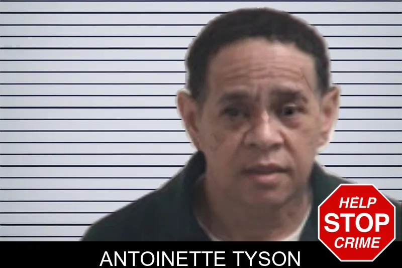 Antoinette Tyson mugshot