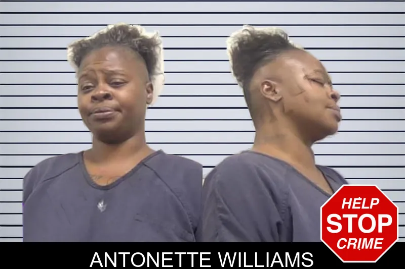 Antonette Williams mugshot