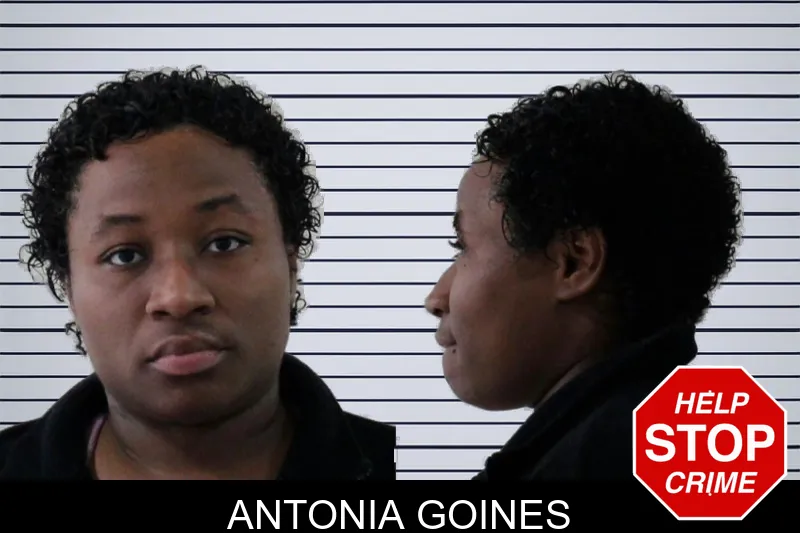 Antonia Goines mugshot – Houston County , Georgia Antonia Goines mugshot