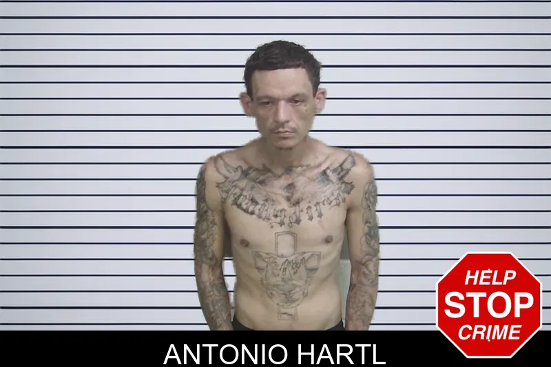 Antonio Hartl mugshot – Wayne County , Georgia Antonio Hartl mugshot