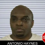 Antonio Haynes mugshot