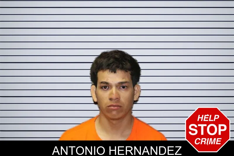 Antonio Hernandez mugshot