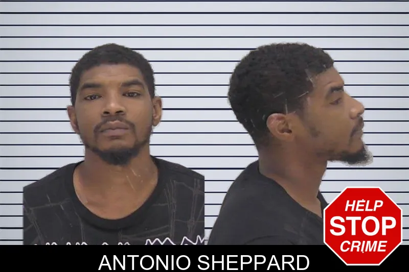 Antonio Sheppard mugshot