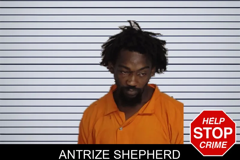 Antrize Shepherd mugshot