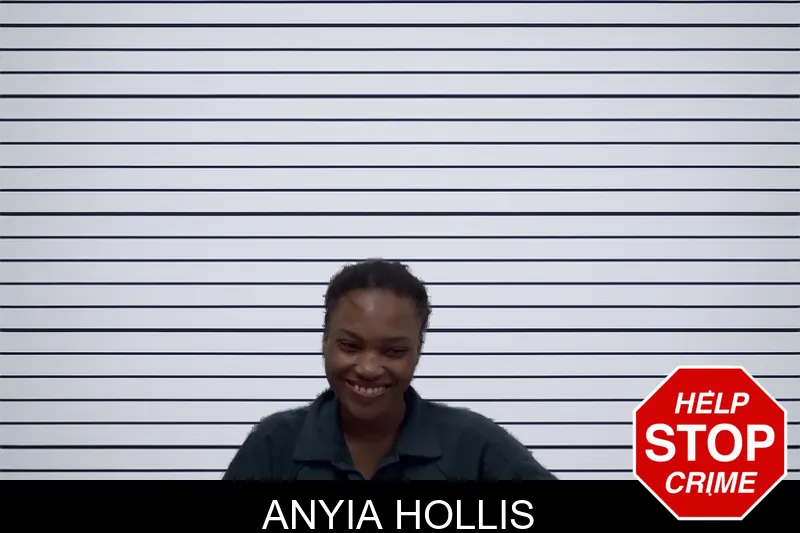 Anyia Hollis mugshot – Irwin County , Georgia Anyia Hollis mugshot
