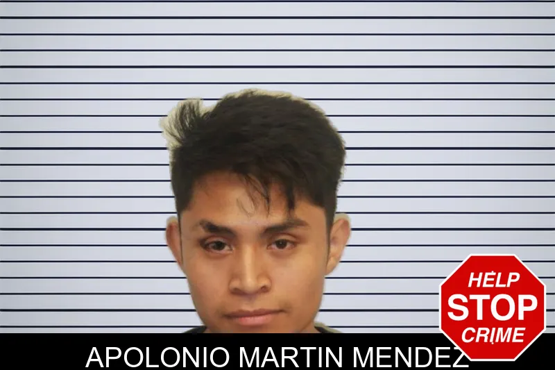 Apolonio Martin Mendez mugshot – Chatham County , Georgia Apolonio Martin Mendez mugshot