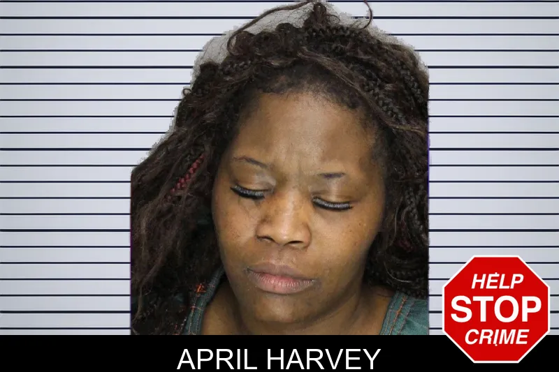 April Harvey mugshot – Cobb County , Georgia April Harvey mugshot