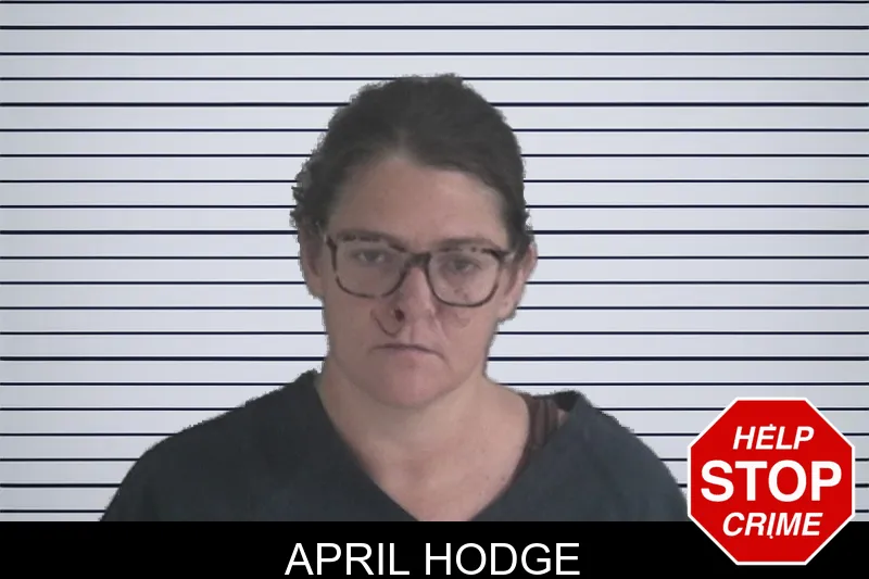 April Hodge mugshot – Brantley County , Georgia April Hodge mugshot
