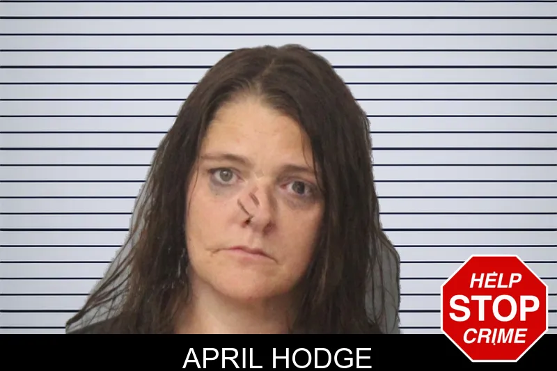 April Hodge mugshot – Mcintosh County , Georgia April Hodge mugshot