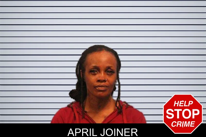 April Joiner mugshot