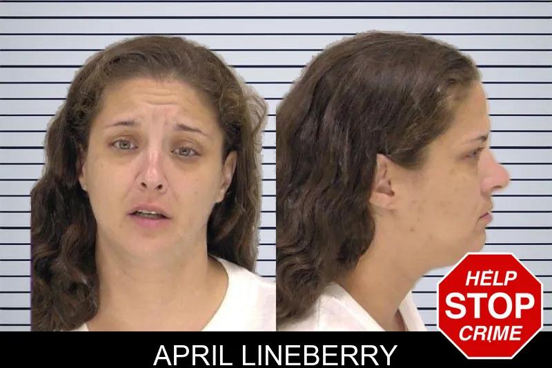 April Lineberry mugshot