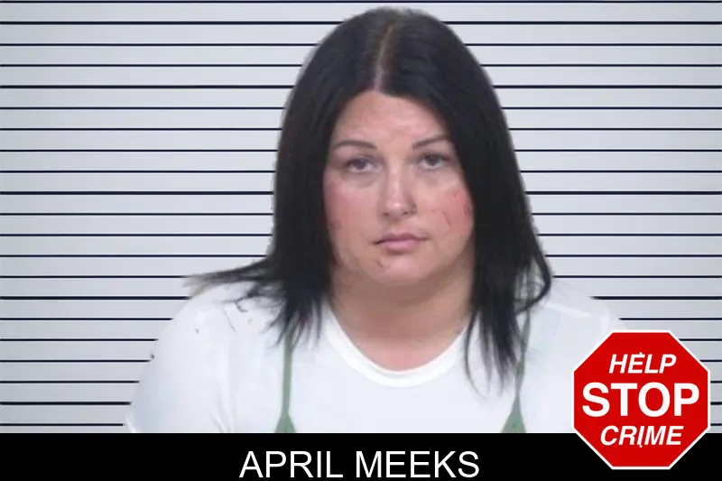 April Meeks mugshot – Washington County , Georgia April Meeks mugshot