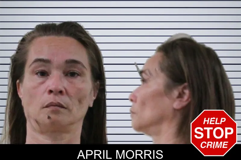 April Morris mugshot