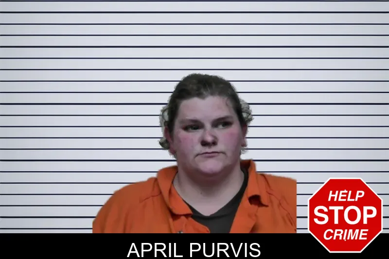 April Purvis mugshot