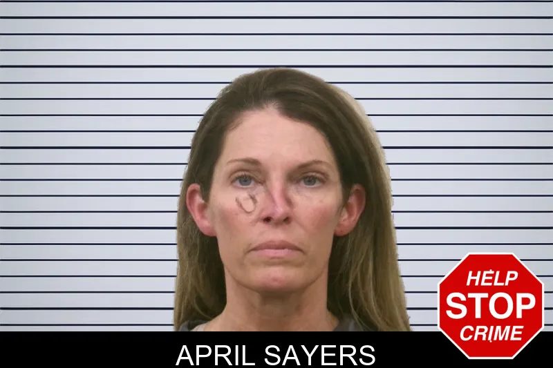 April Sayers mugshot – Bulloch County , Georgia April Sayers mugshot
