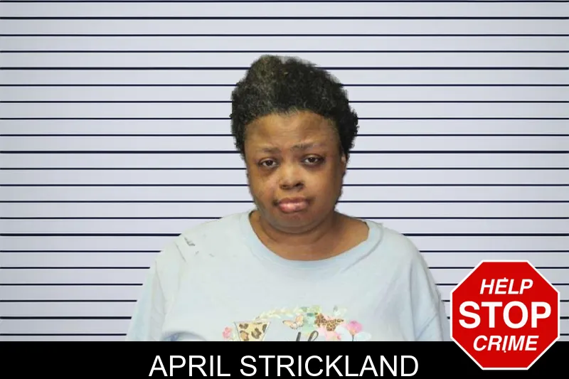 April Strickland mugshot