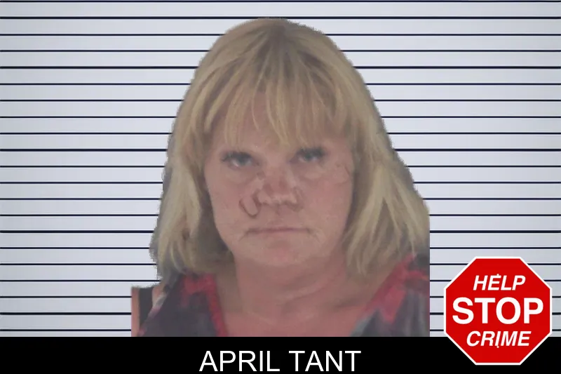 April Tant mugshot
