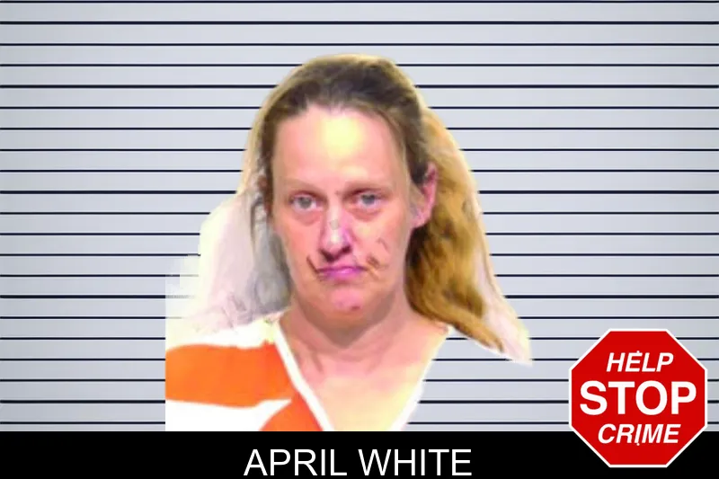 April White mugshot