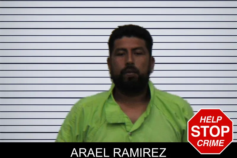 Arael Ramirez mugshot