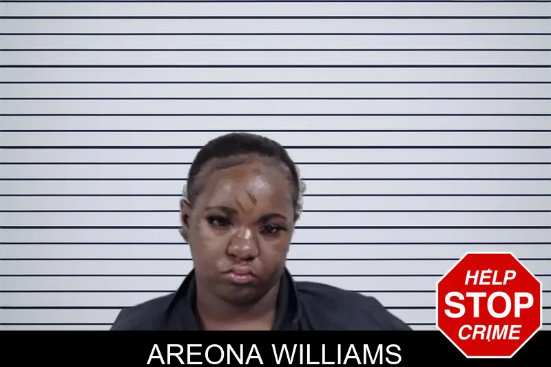 Areona Williams mugshot – Lowndes County , Georgia Areona Williams mugshot