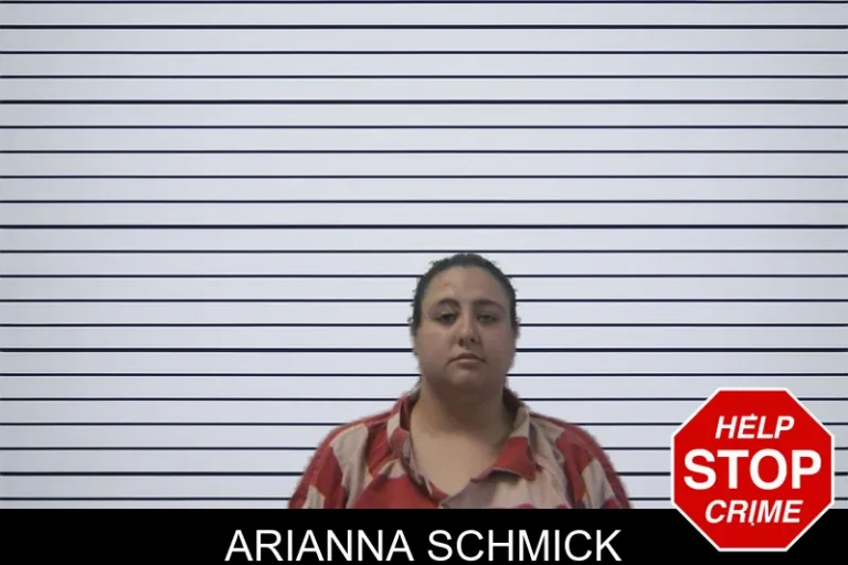 Arianna Schmick mugshot – Stephens County , Georgia Arianna Schmick