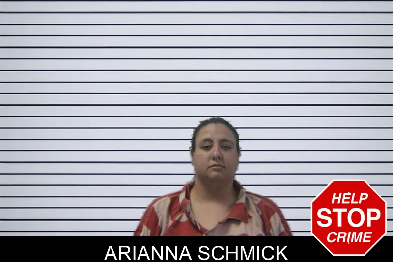 Arianna Schmick mugshot