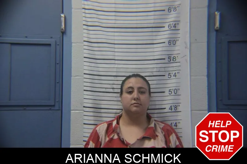 Arianna Schmick mugshot