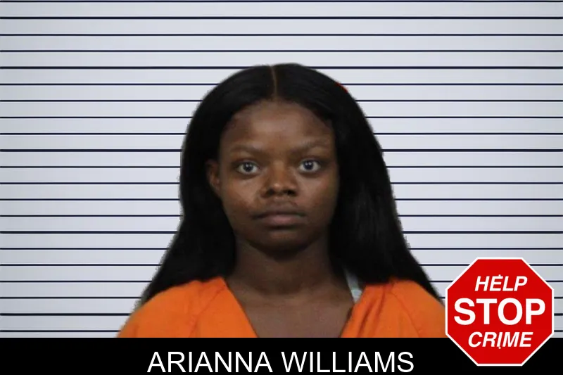 Arianna Williams mugshot – Lamar County , Georgia Arianna Williams mugshot
