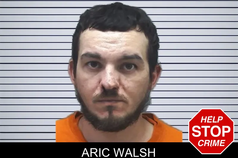 Aric Walsh mugshot