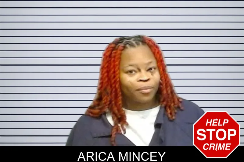 Arica Mincey mugshot – Fulton County , Georgia Arica Mincey mugshot