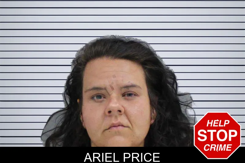 Ariel Price mugshot