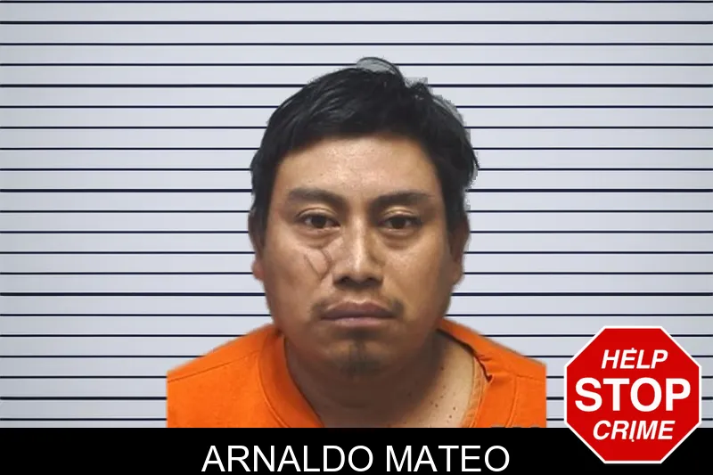 Arnaldo Mateo mugshot