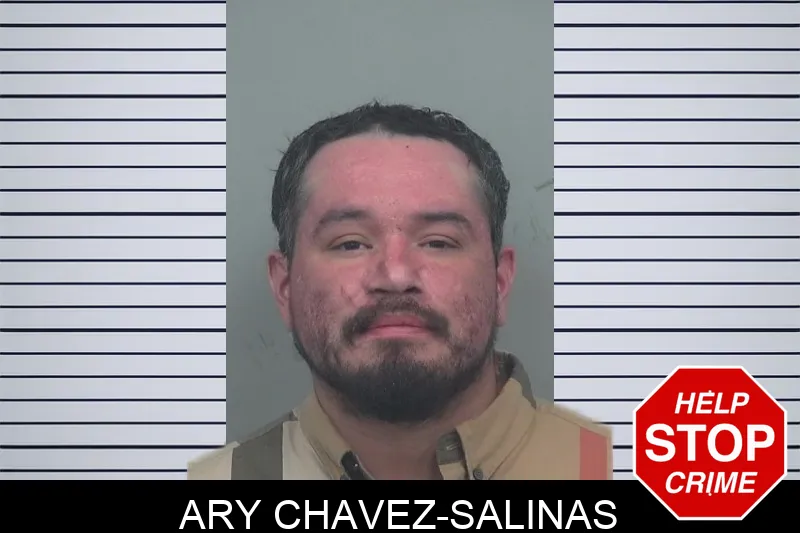 Ary Chavez-Salinas mugshot