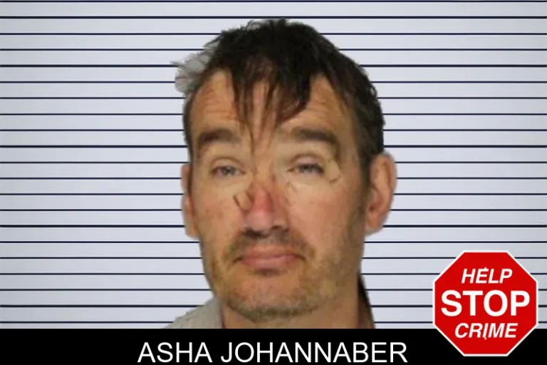 Asha Johannaber mugshot – Hall County , Georgia Asha Johannaber