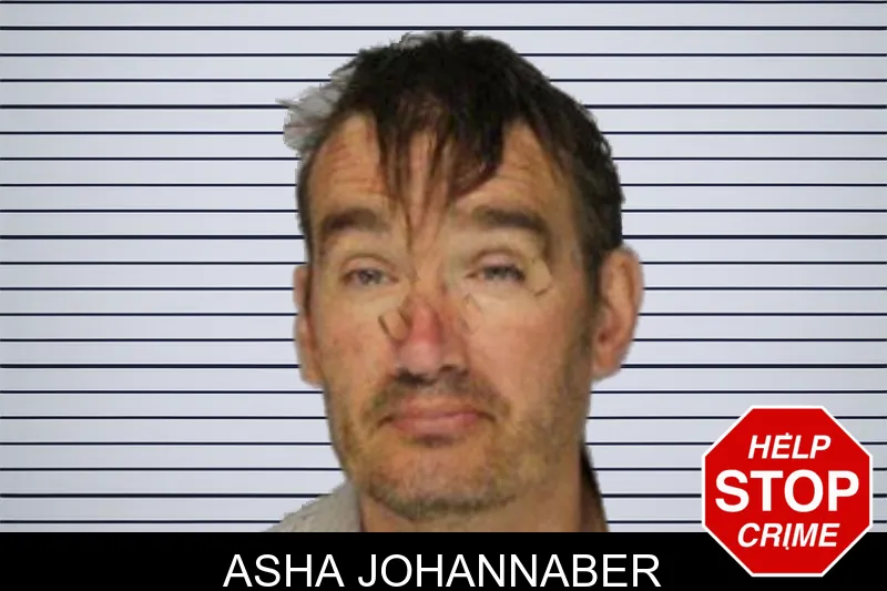 Asha Johannaber mugshot – Hall County , Georgia Asha Johannaber mugshot