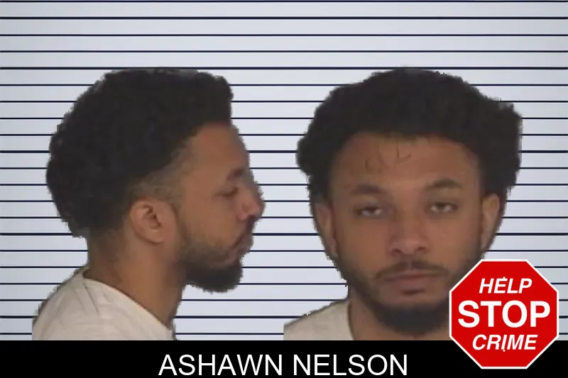 Ashawn Nelson mugshot