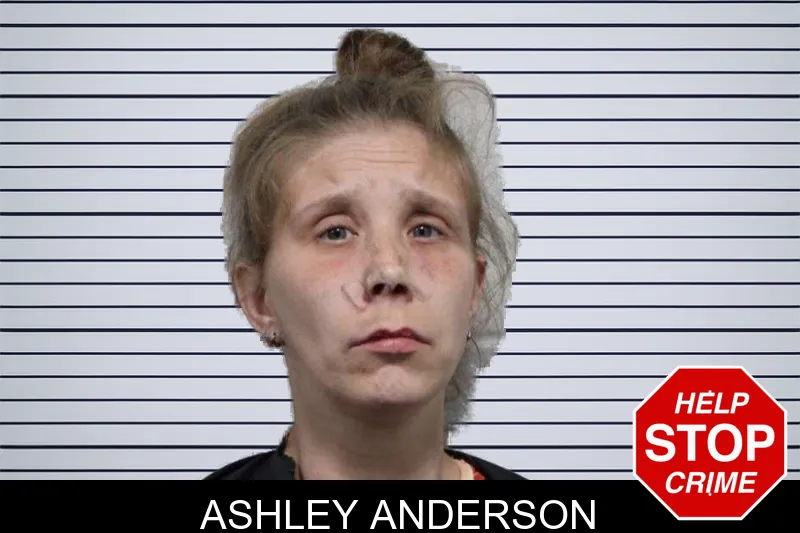 Ashley Anderson mugshot – Habersham County , Georgia Ashley Anderson mugshot