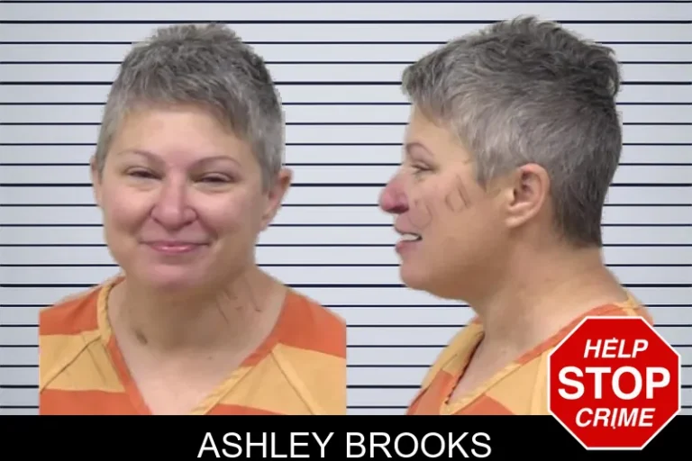 Ashley Brooks mugshot – Paulding County , Georgia Ashley Brooks