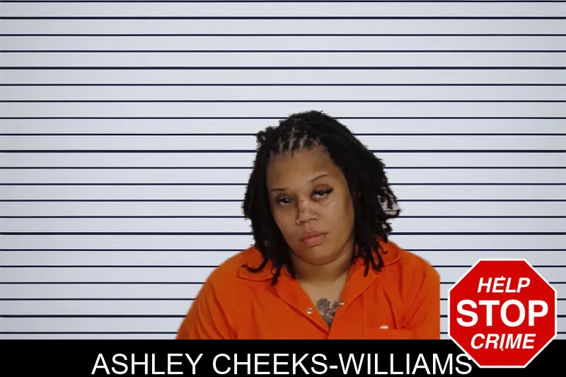 Ashley Cheeks-Williams mugshot – Rockdale County , Georgia Ashley Cheeks-Williams mugshot
