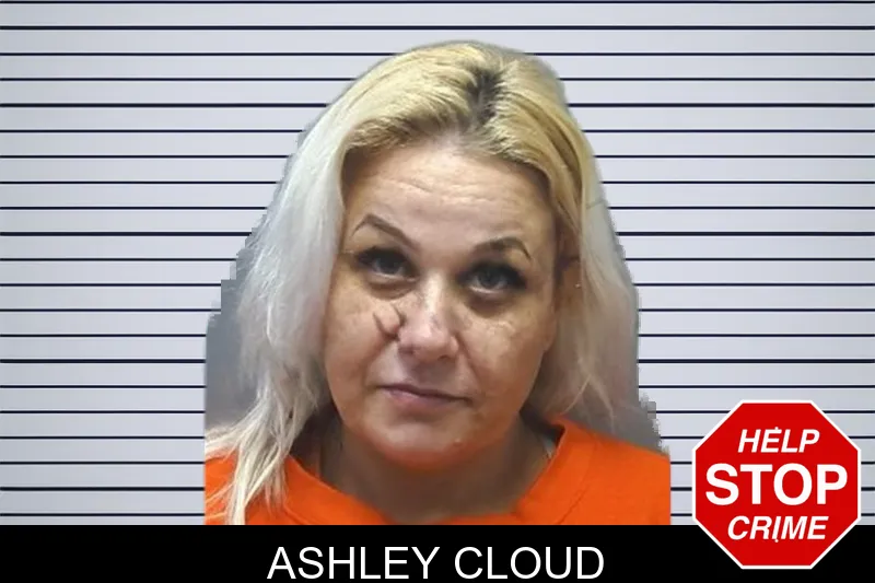 Ashley Cloud mugshot – Cherokee County , Georgia Ashley Cloud mugshot