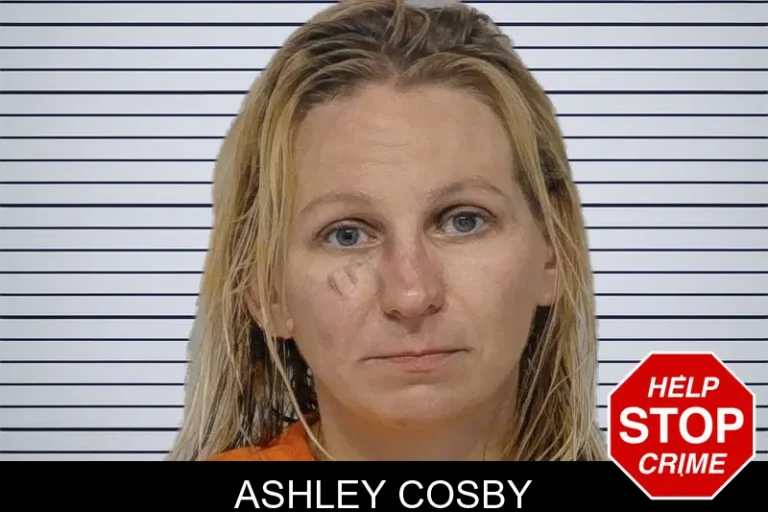 Ashley Cosby mugshot – Bibb County , Georgia Ashley Cosby
