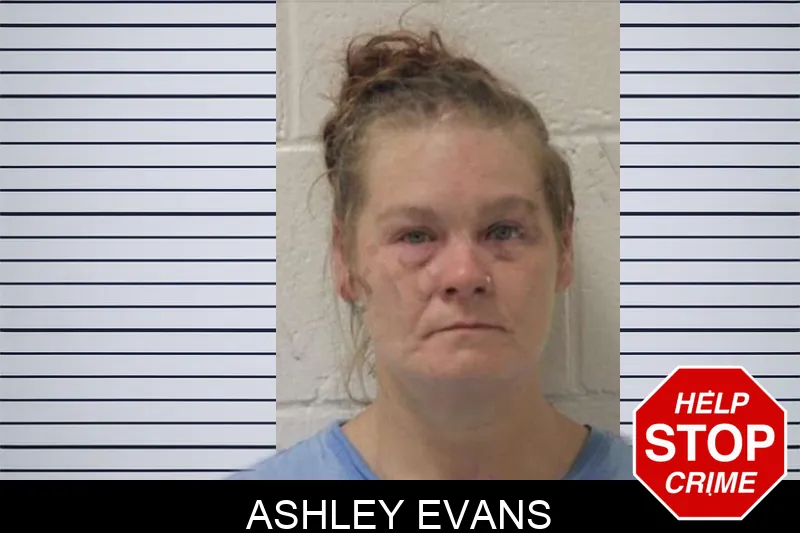 Ashley Evans mugshot – Jones County , Georgia Ashley Evans mugshot
