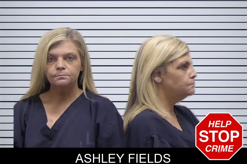 Ashley Fields mugshot – Clarke County , Georgia Ashley Fields mugshot